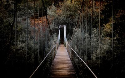 Some Bridges