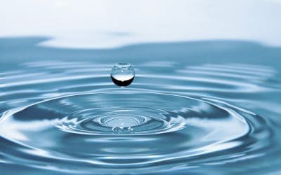 Every Ripple Returns