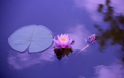 Thoughts Are Irrepressible