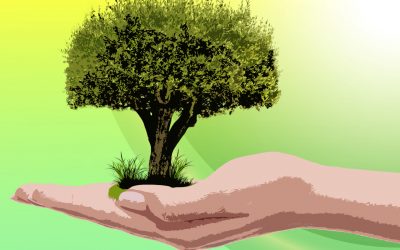 The Value of Appreciation
