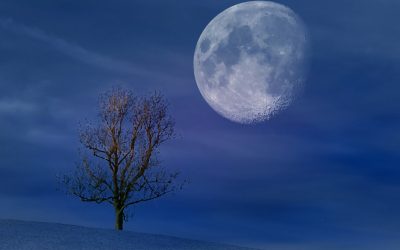 Silence and Stillness