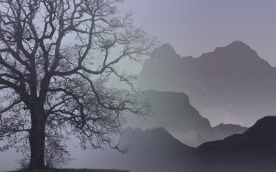 Aligning with Purpose