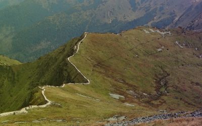 The Path of Humility