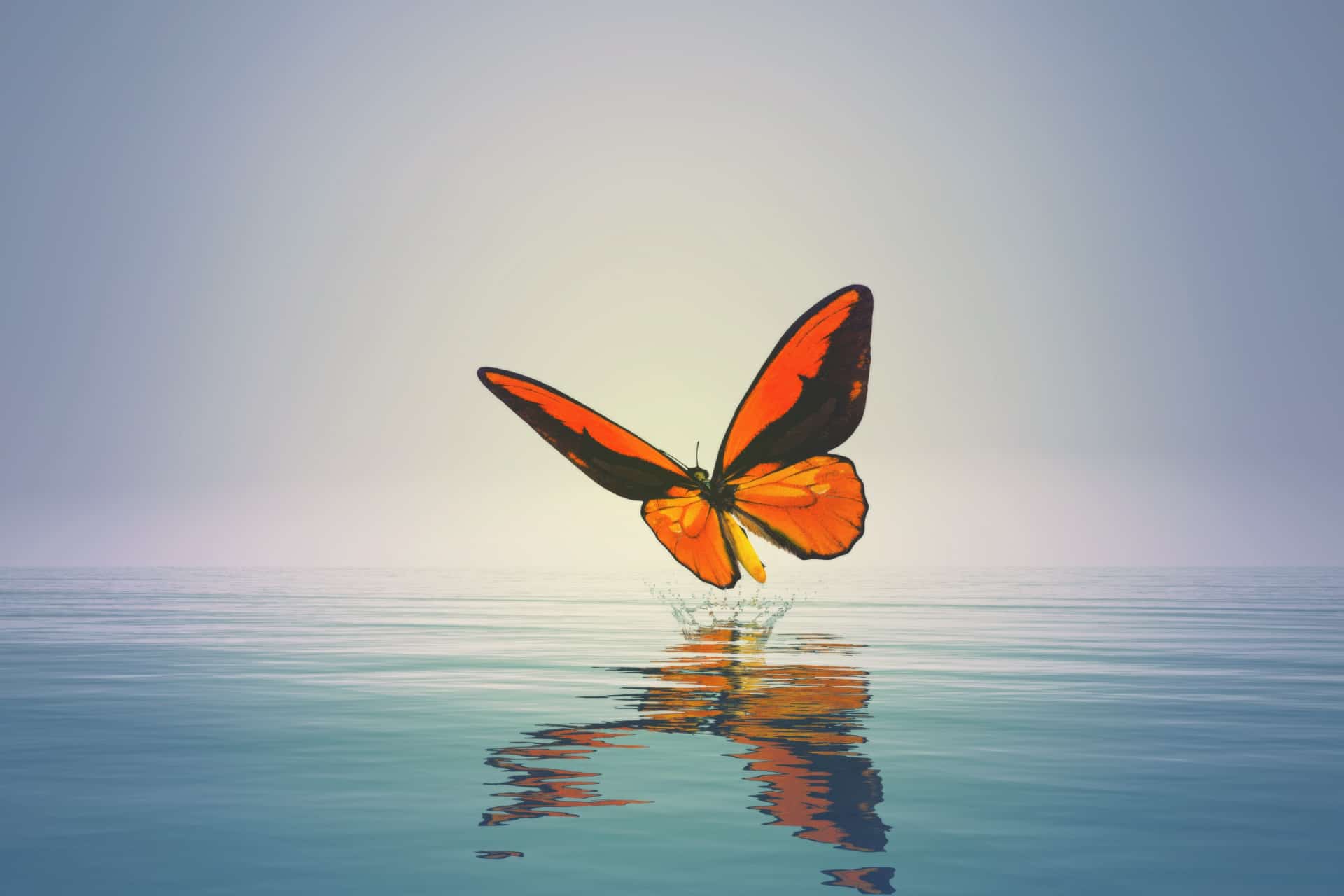 IS DOING IS BEING visual data 3