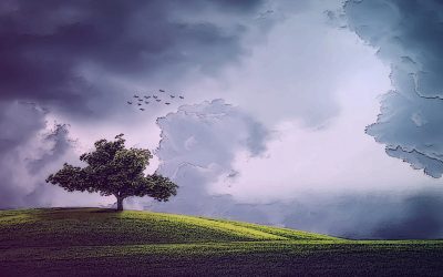 Emergence of Equanimity