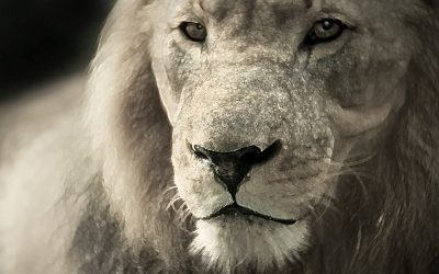 Powerful and Focused