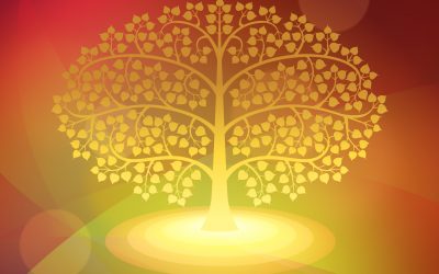 Guided by Intuition