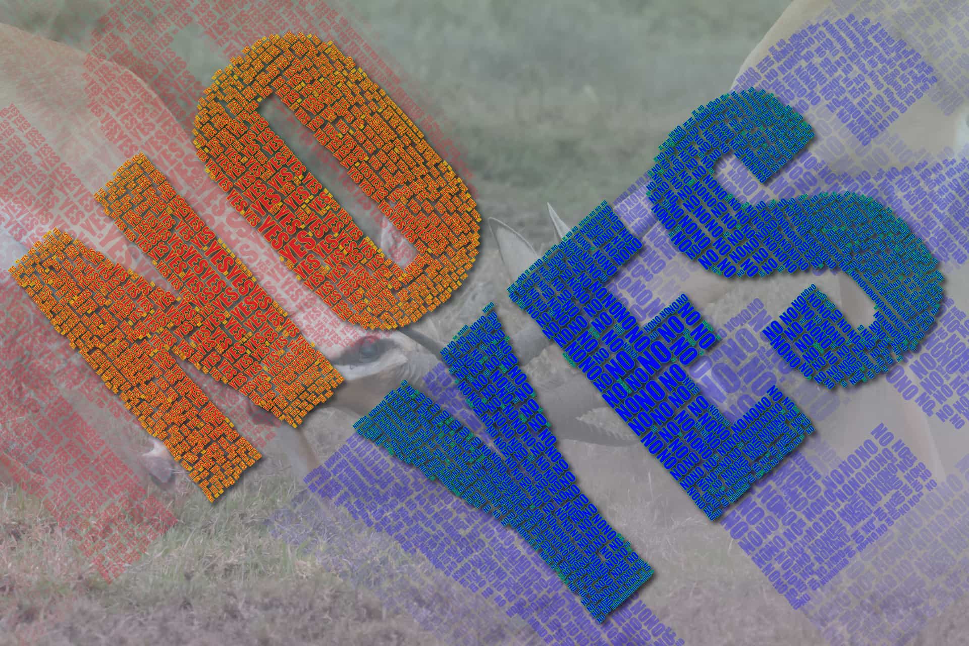 Internal Conflict • Life Mastery Pearls