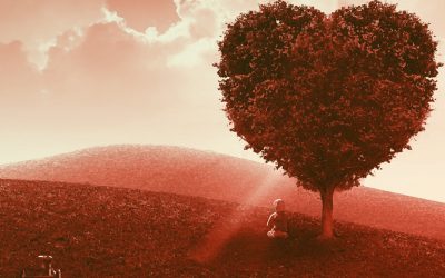 Love Your Dream