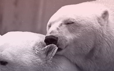 Relationships are Sacred