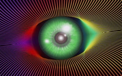 Law of Attraction